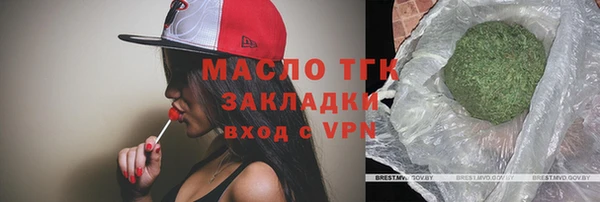 стаф Нея
