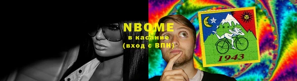прущие грибы Армянск