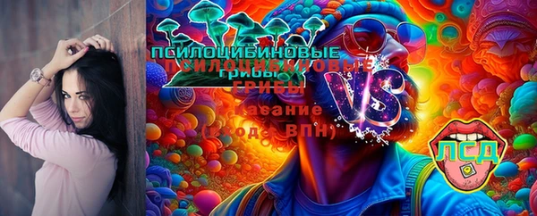 прущие грибы Армянск