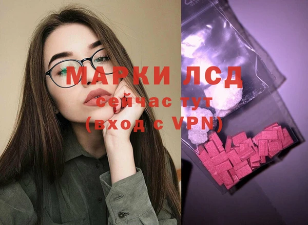 прущие грибы Армянск