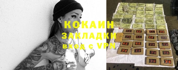 прущие грибы Арсеньев