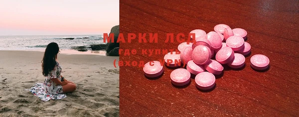 прущие грибы Арсеньев