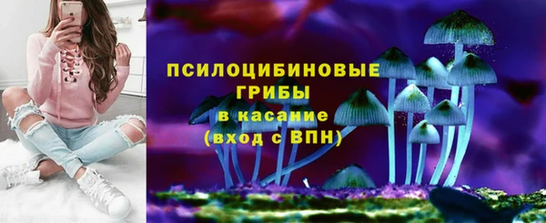 мдпв Горняк