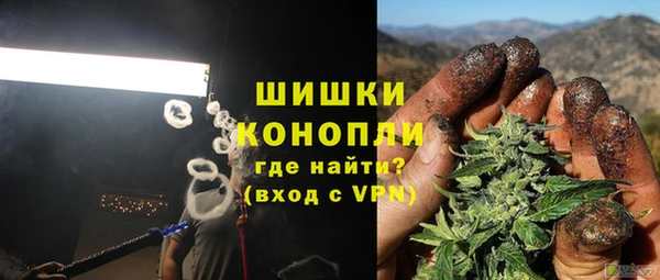 прущие грибы Арсеньев