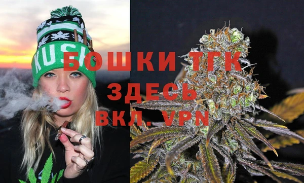 прущие грибы Арсеньев