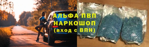 прущие грибы Армянск