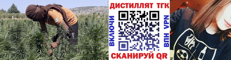 ТГК Wax Сенгилей